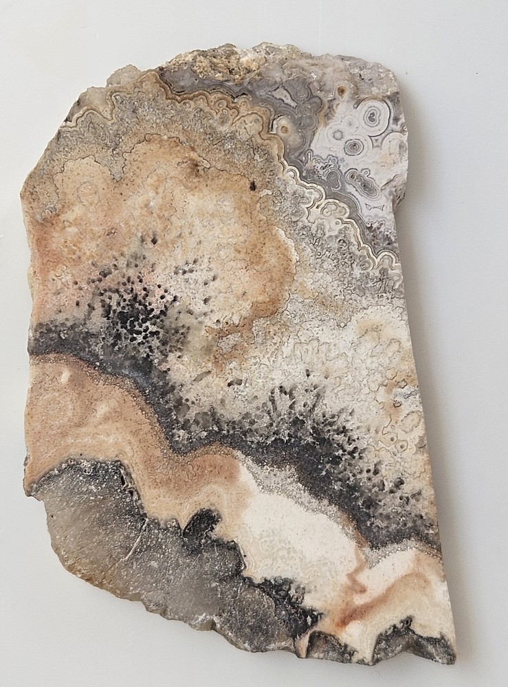 Unknown Interesting Lapidary Slab 27 Grams
