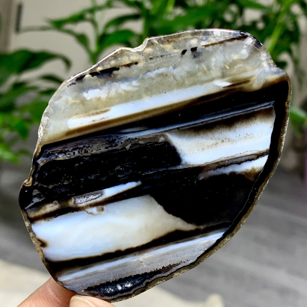 44G Natural Beautiful Agate Geode Druzy Slice Extra Large Gemstone