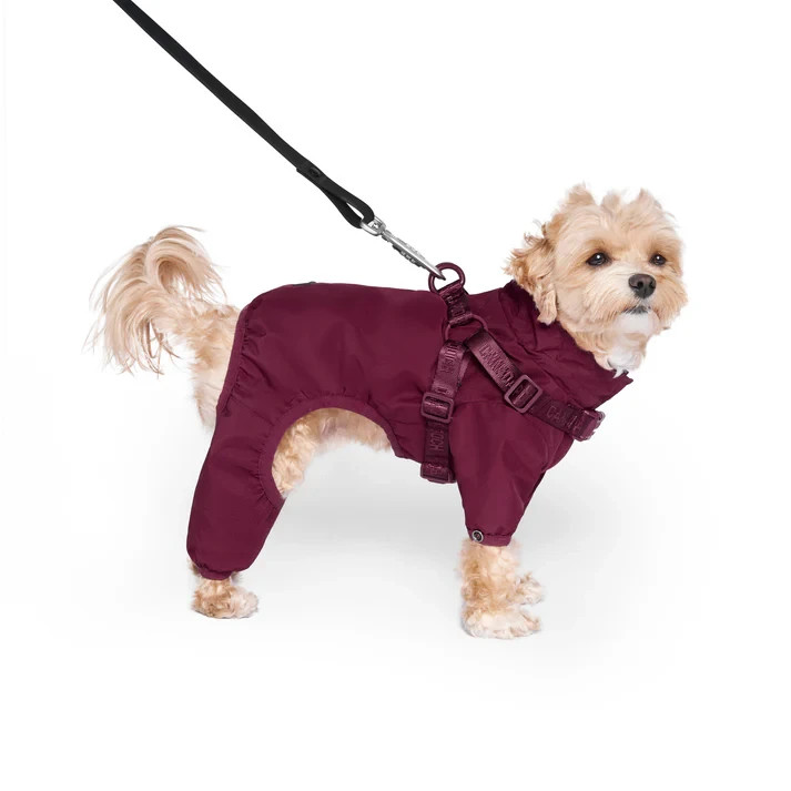 Canada Pooch Harness Snowsuit - Black or Plum - Various - £55