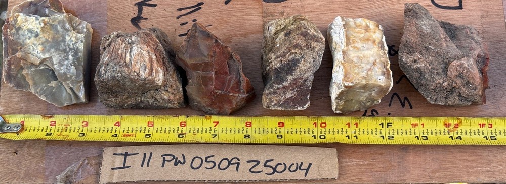 Colorful petrified wood