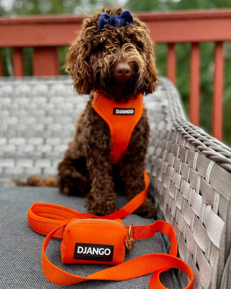NWT Django Adventure Dog Harness - Sunset Orange