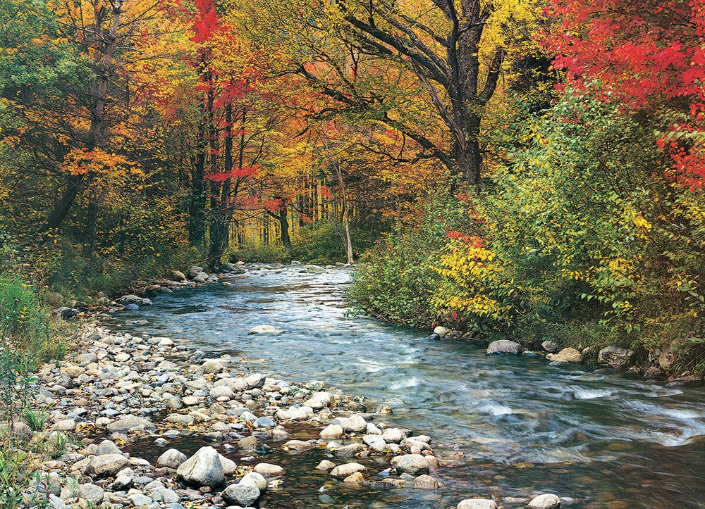 Eurographics Forest Stream 1000 Piece Jigsaw Puzzle