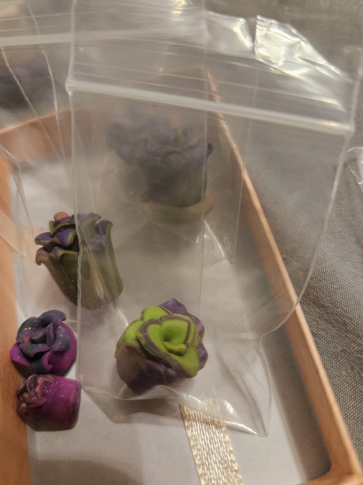 Succulent miniatures lot