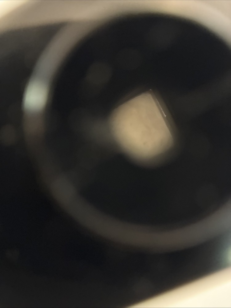 Ritchie Hand Bearing Compass & Bag