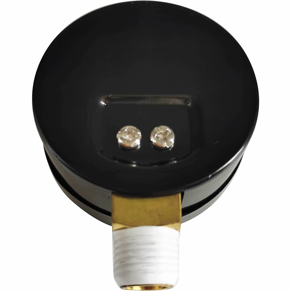 Pressure Gauge Replacement for Select Sand and D.E. Filter ecx270861