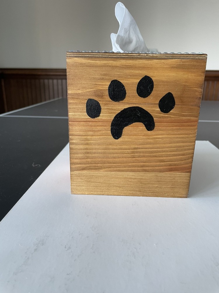 Hand Painted Tissue Box Holder Solid Wood cute orange tabby cat Decor