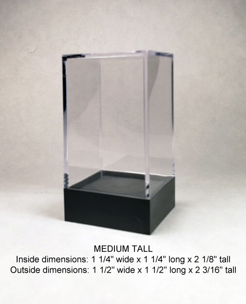 Miniature or crystal display box case / D&D DnD Warhammer Dungeons and Dragons