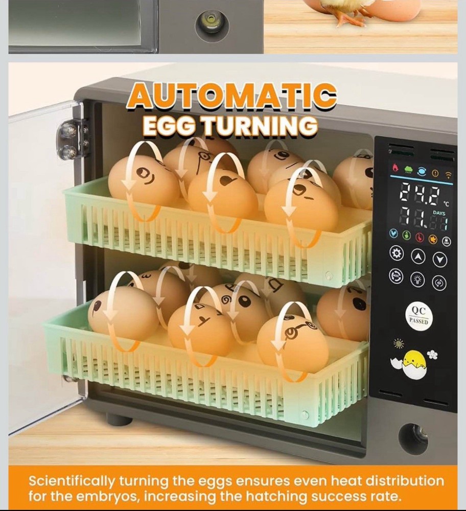 Incubators for Hatching Eggs, 24 Egg Incubator, Automatic Turning