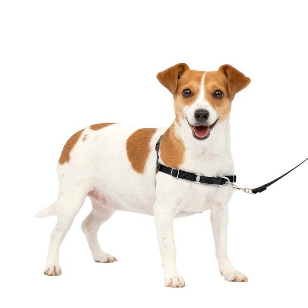 PetSafe Easy Walk Harness Small Black/Silver