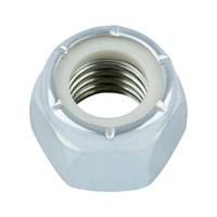 1/4-20 Nylon Insert Lock Nut 316 SS-100 Pack