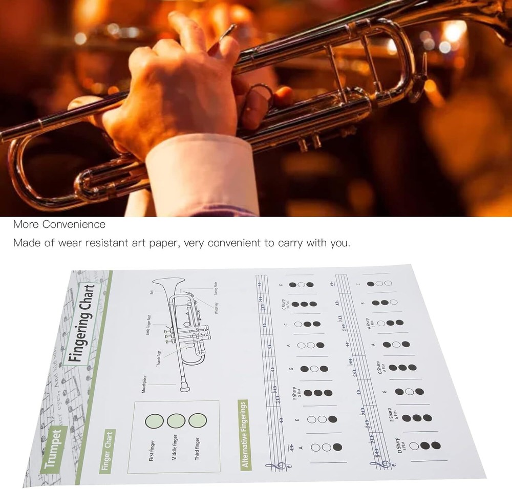 Trumpet Chord Chart Chords Reference Poster (Large Size)