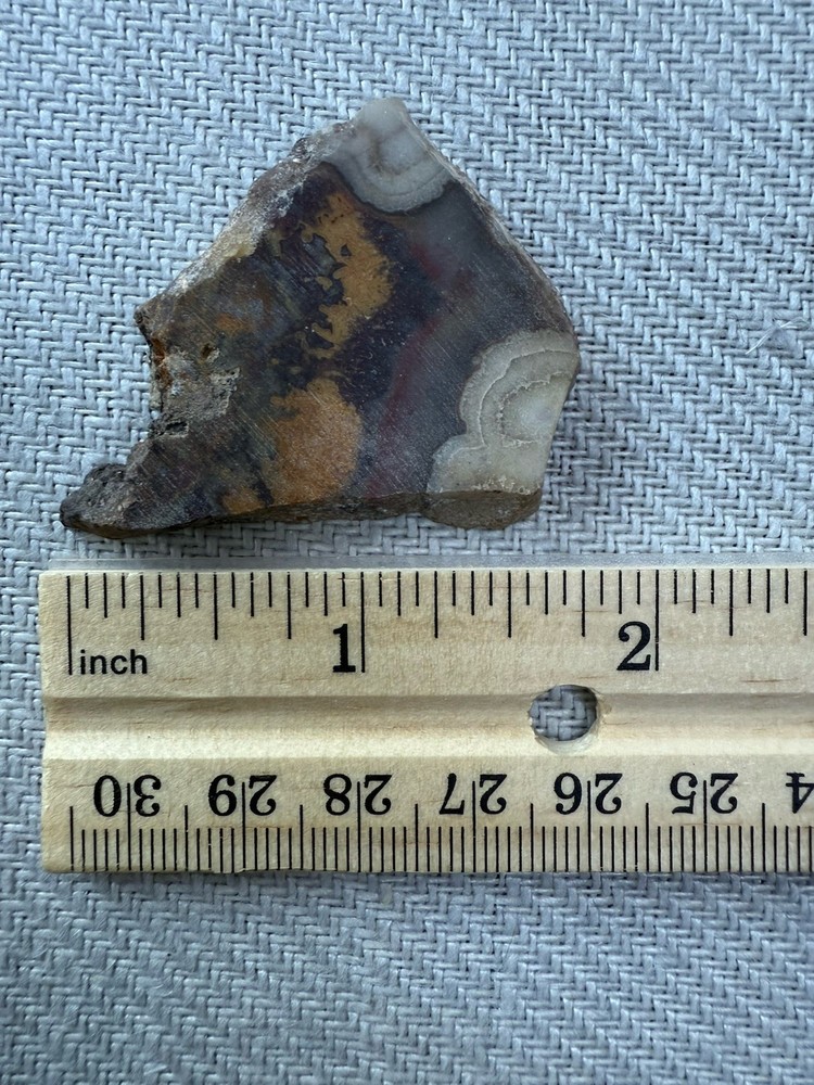 Colorful Plume Agate Lapidary Slabs 147 Grams