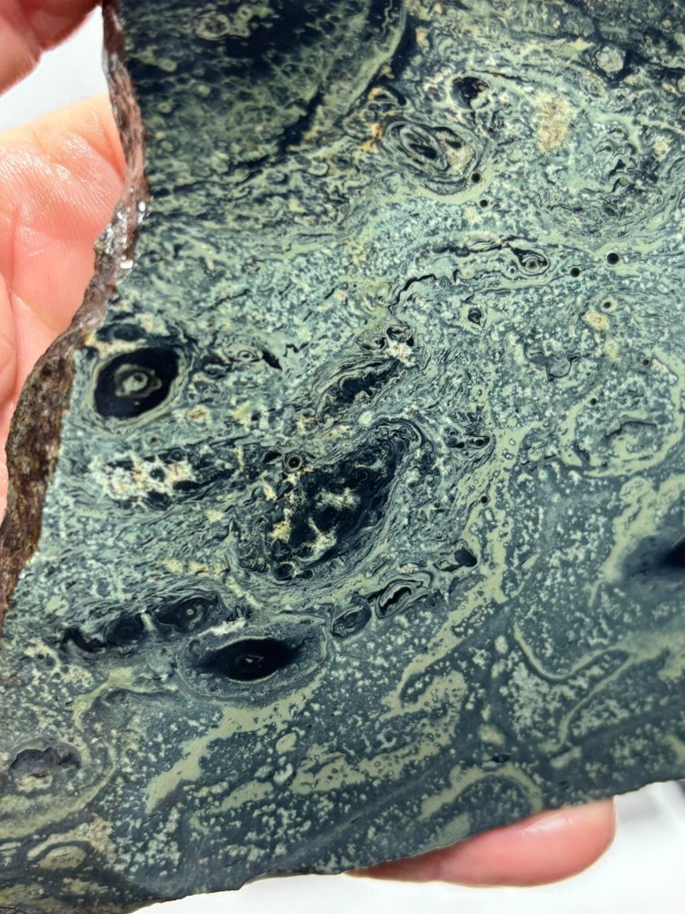 Kambaba Jasper Stromatolite Slab Lapidary Cabbing Combo Ship Avail