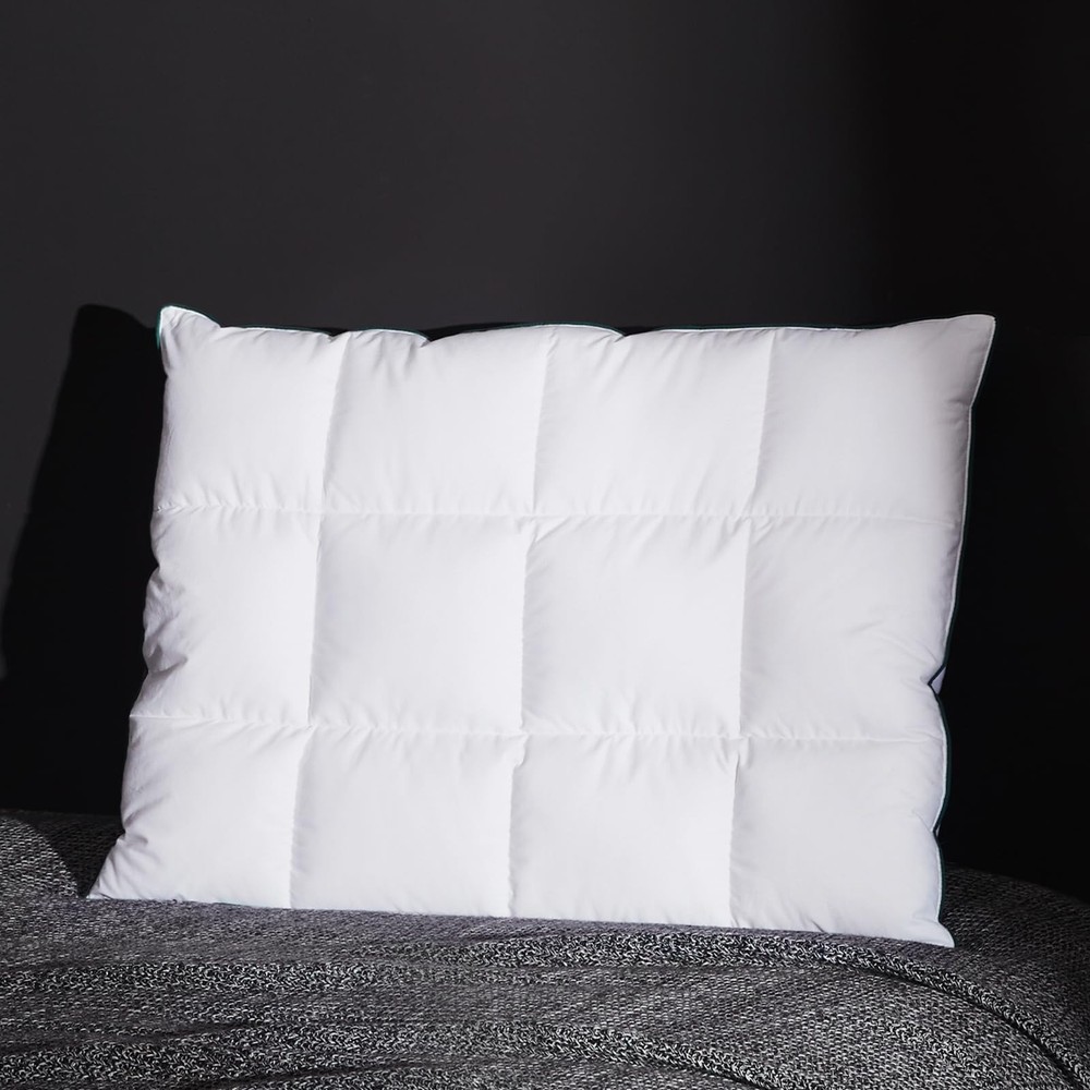 Three Geese Ultra Thin Flat Goose Down Feather Pillows for Sleeping Standard ...