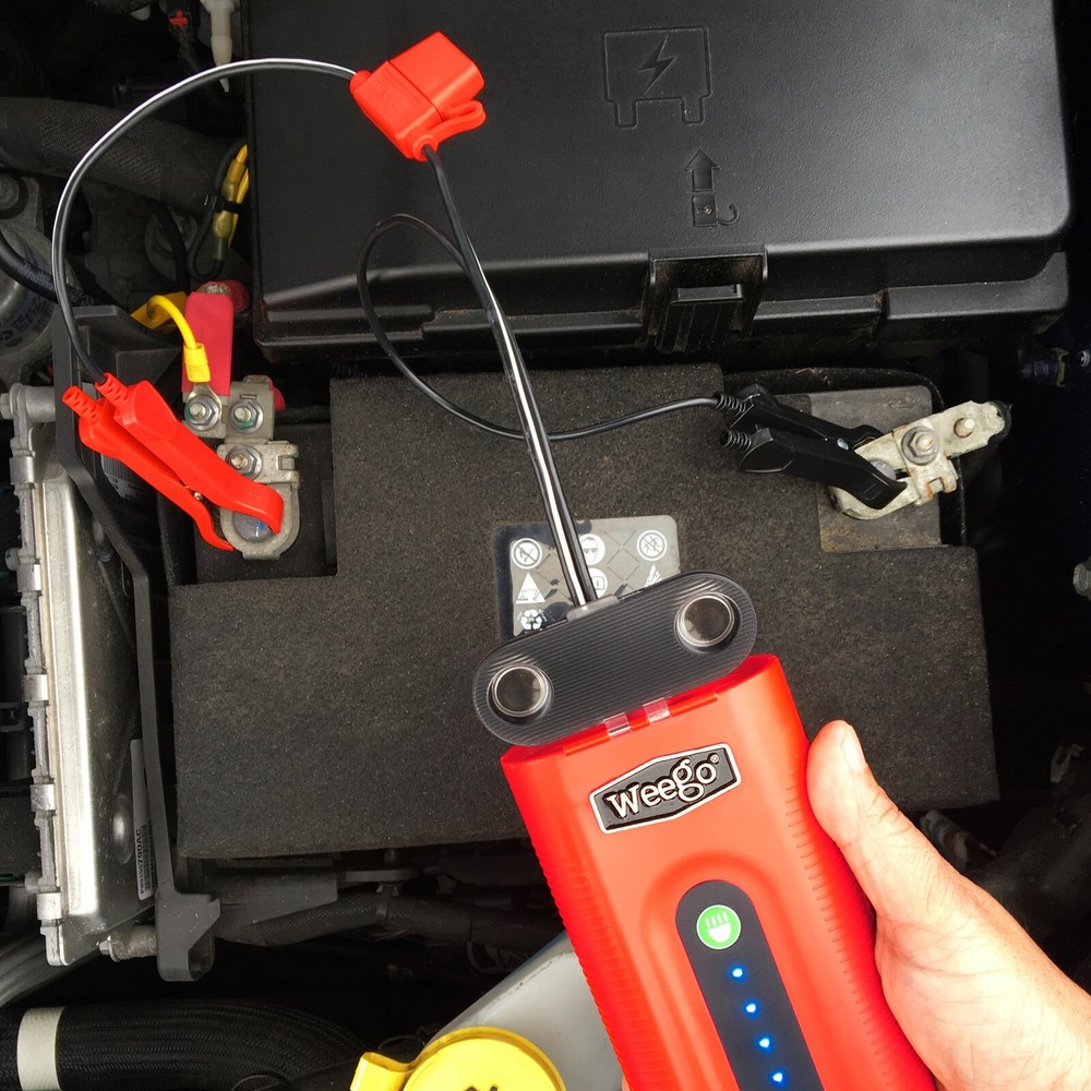 Weego 12V Mini Clamps DC Adapter