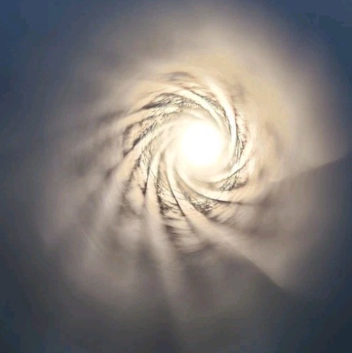 Knight Black Knight Muzzleloader Rifle 24" Barrel Without Breech Plug (C)