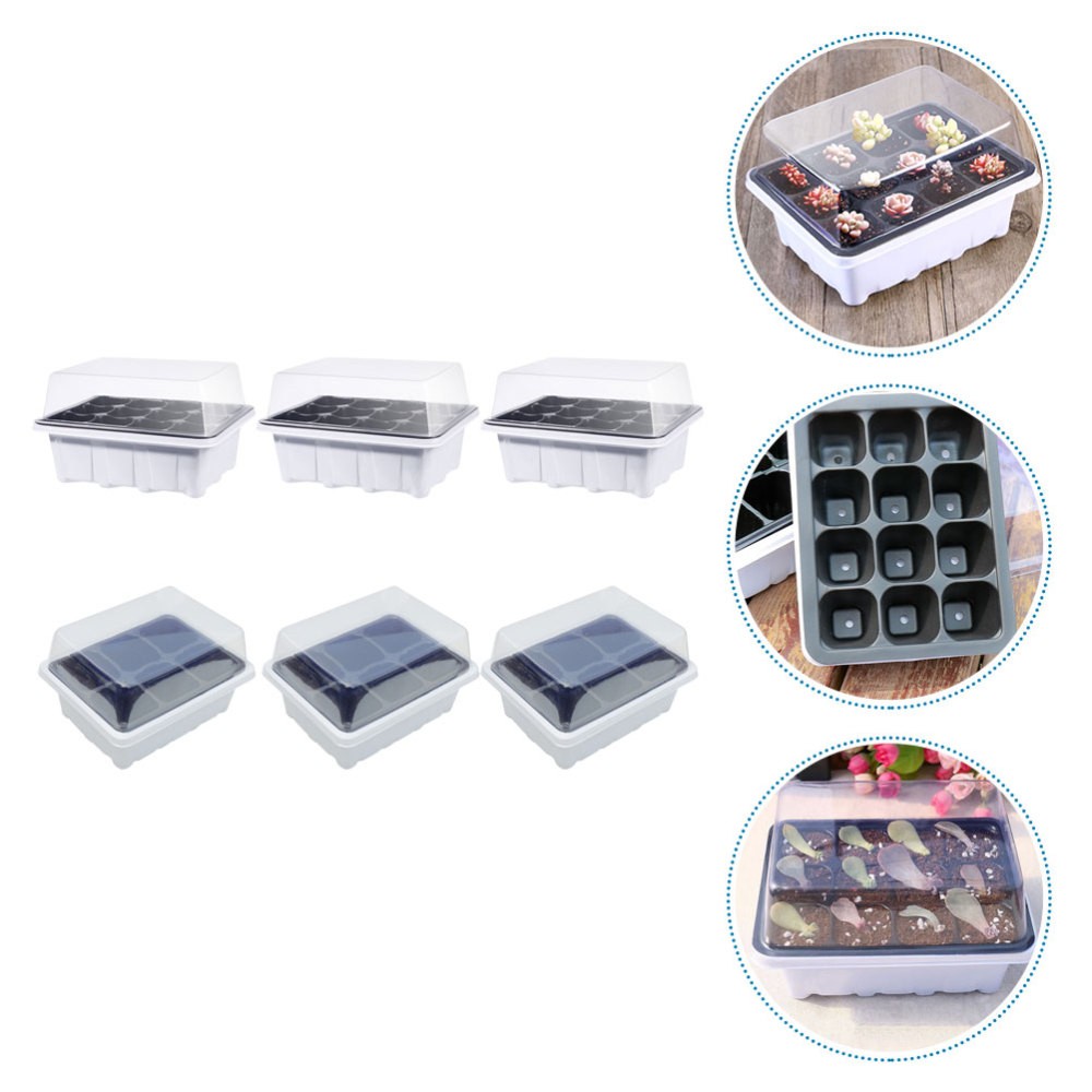 6 Pcs Plastic Plant Starter Trays Boxes for Vegetable Germination Gardening