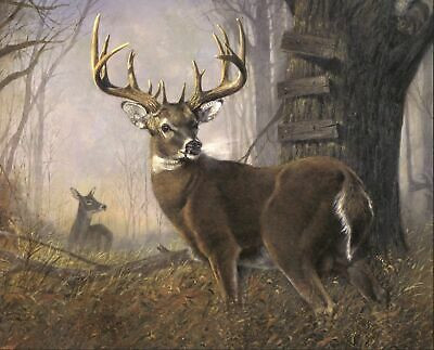 35" Fabric Panel | David Textiles Digital Impending Challenge Buck Deer Forest