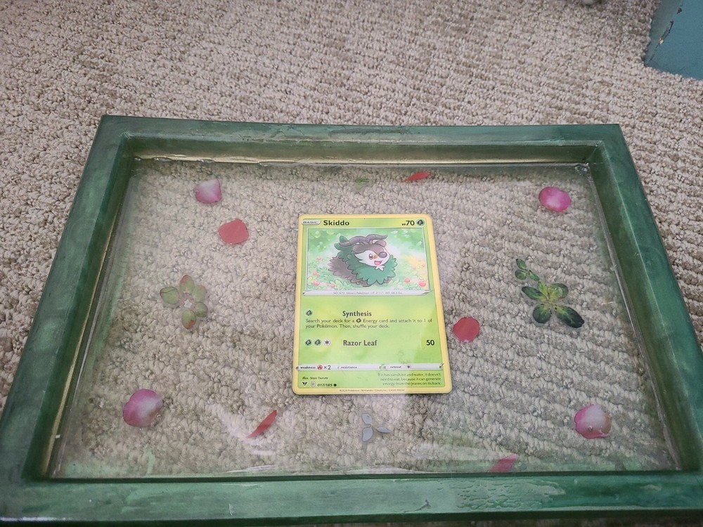pokemon rolling tray