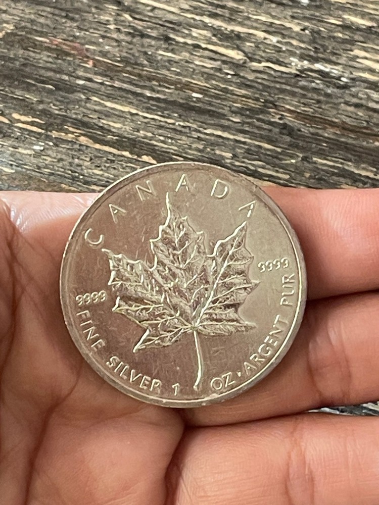 2013 Canada 5 Dollar Silver 1oz Coin