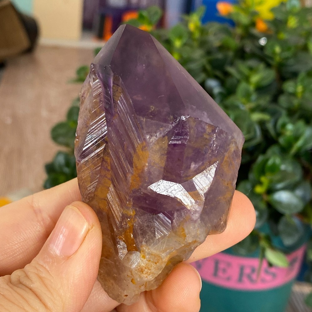 100g Natural Amethyst geode quartz clustercrystal specimen Healing