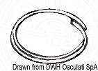 OSCULATI SS Split Ring 17x1 mm