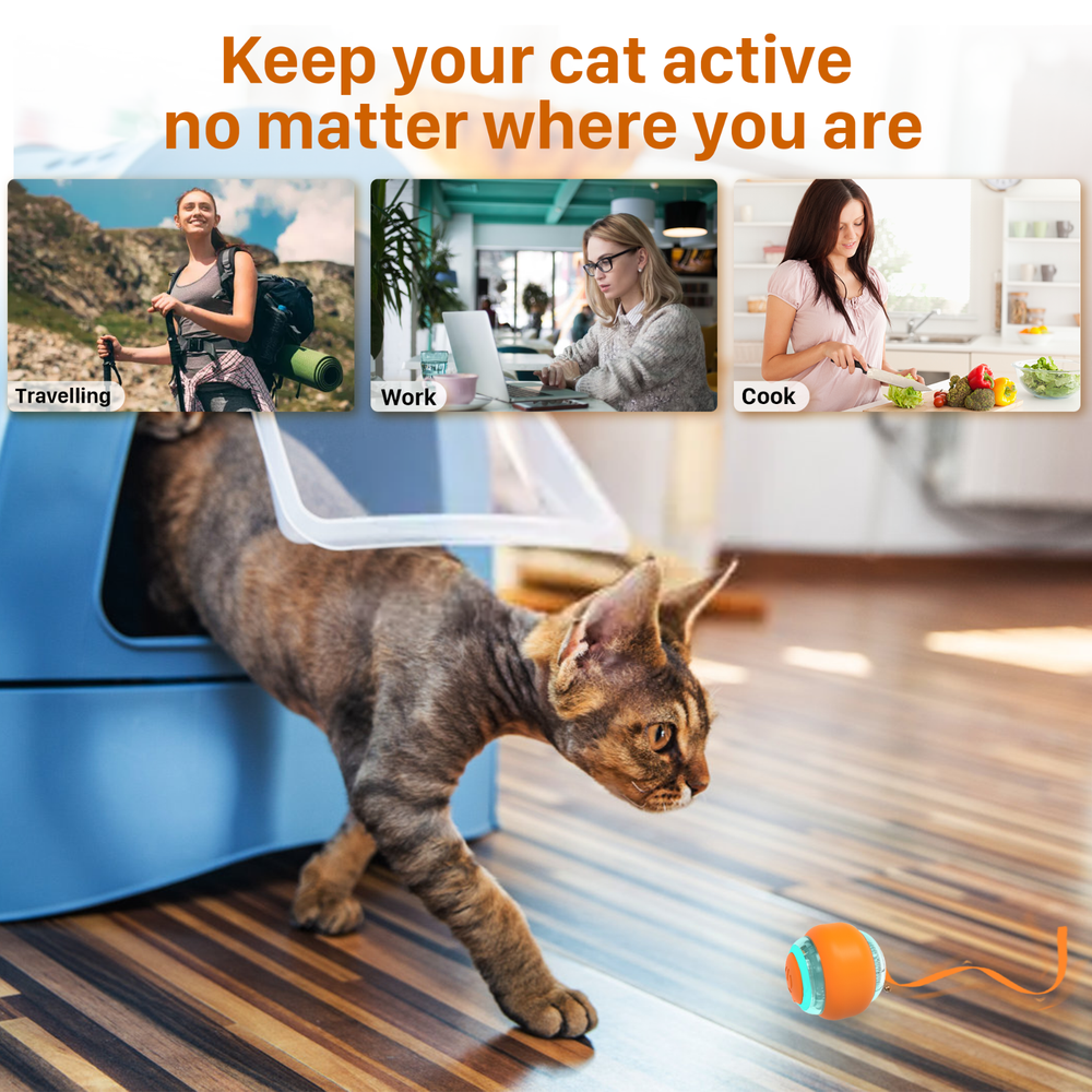 Interactive Cat Toy Balls w/ Ring Bell LED Ribbon Automatic Smart Bouncing Balls
