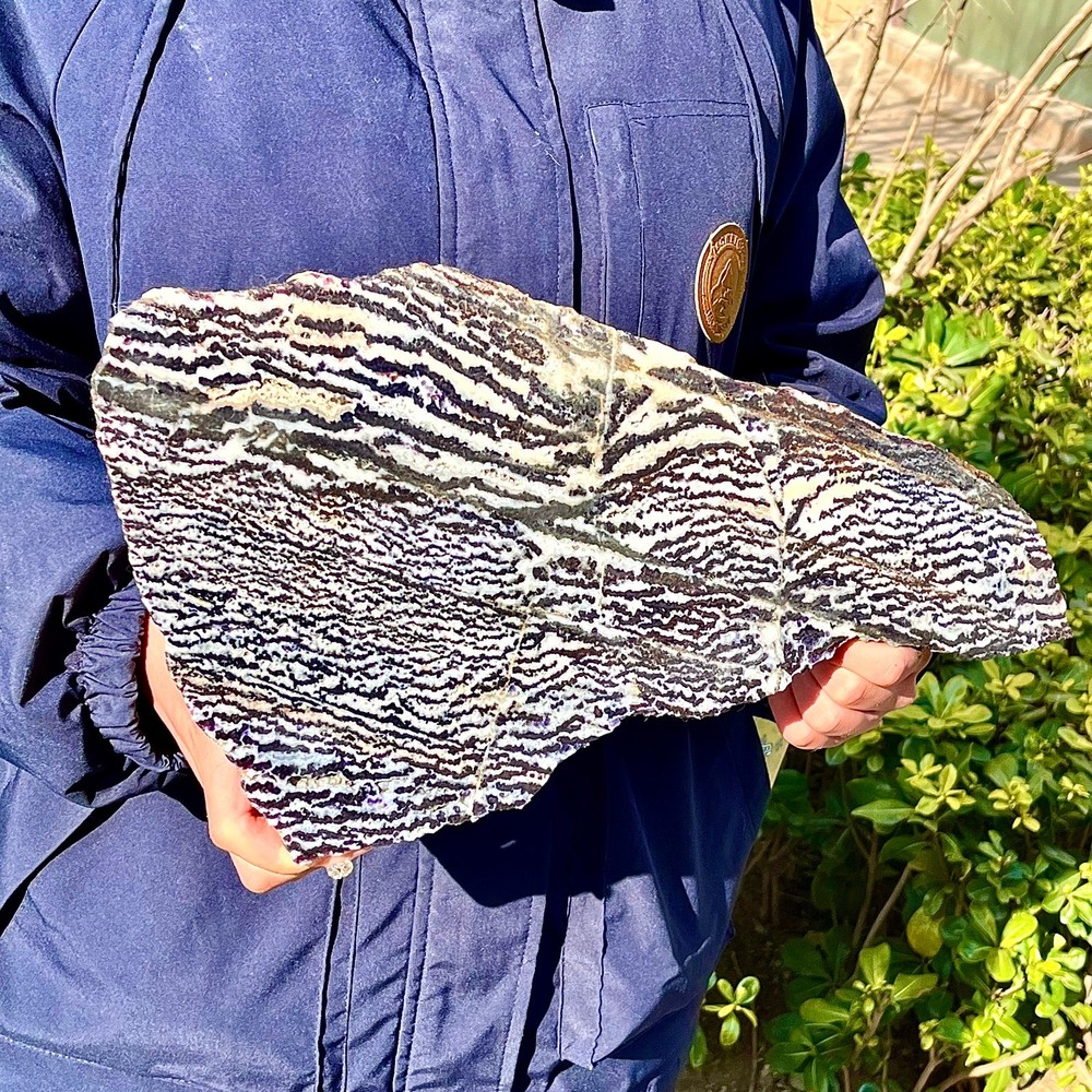 4.21LB Water grass agate wide column obelisk sample column