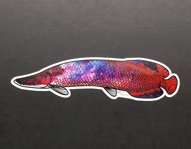 Cosmic Pirarucu Sticker