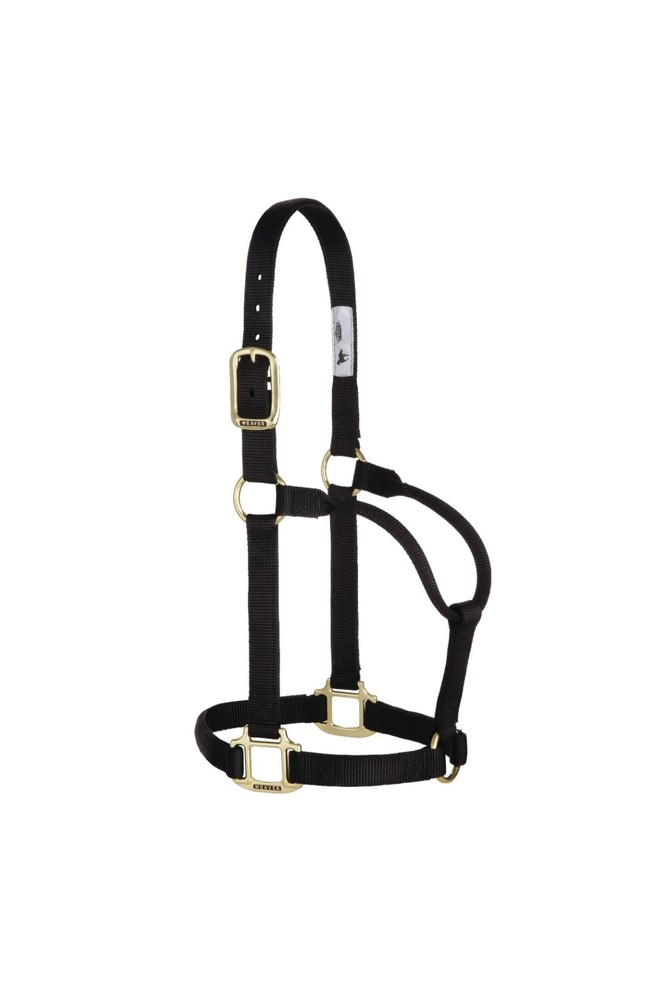 Original Non-Adjustable Halter , 1"  Black