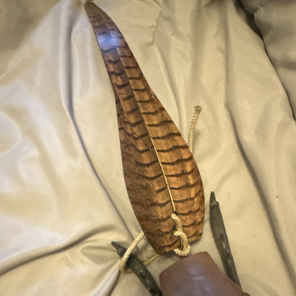 Decoy pheasant for dog training purposes.