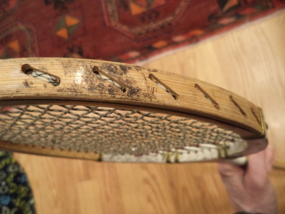 Jaguar GOLD STAR Squash Racquet