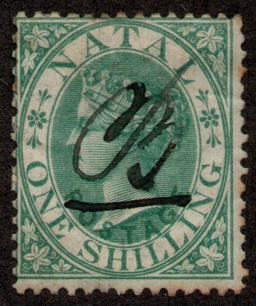 Natal Scott 17 Used 2021 cv $52.50