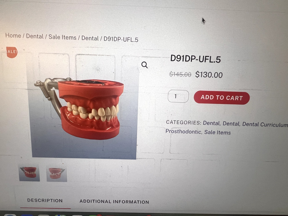 Kilgore MCG-1 Fixed Dentoform (Nissin Dental Model)