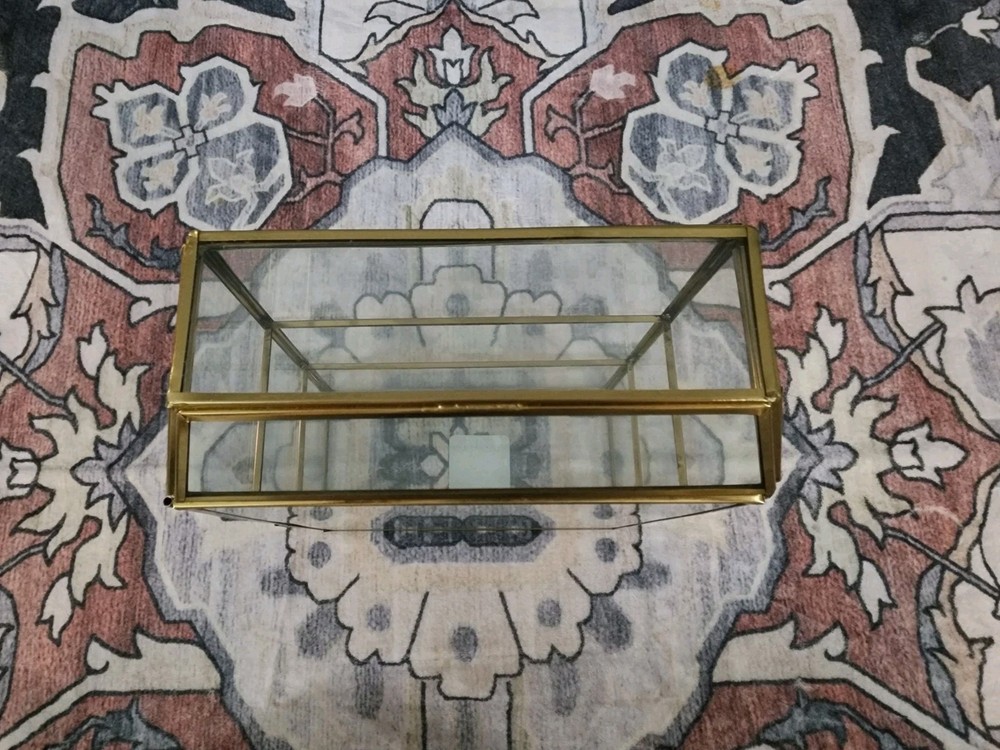 Opalhouse Glass Display Case