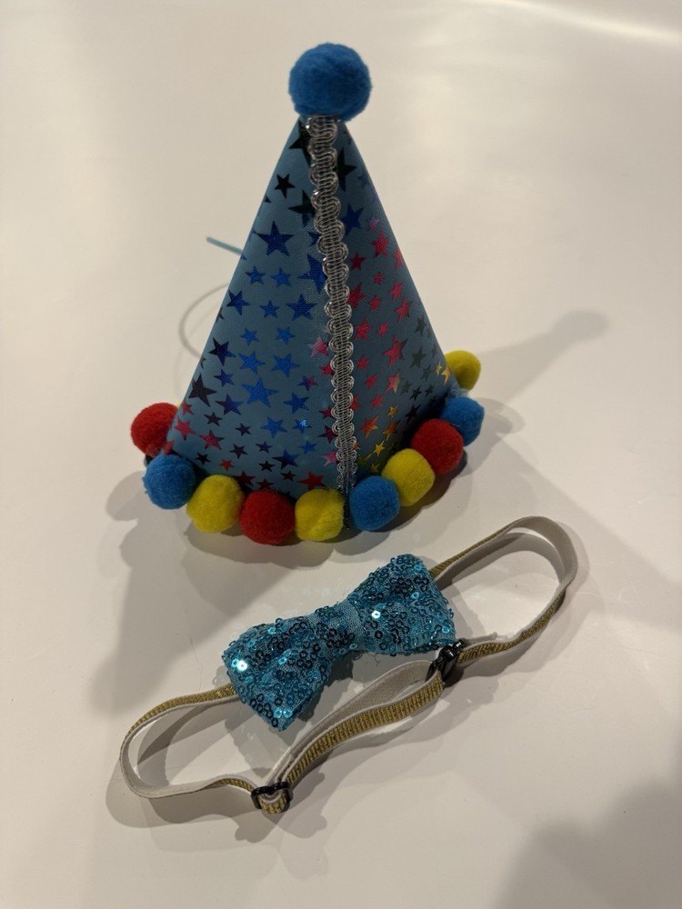 Animal Birthday Hat and Collar Set
