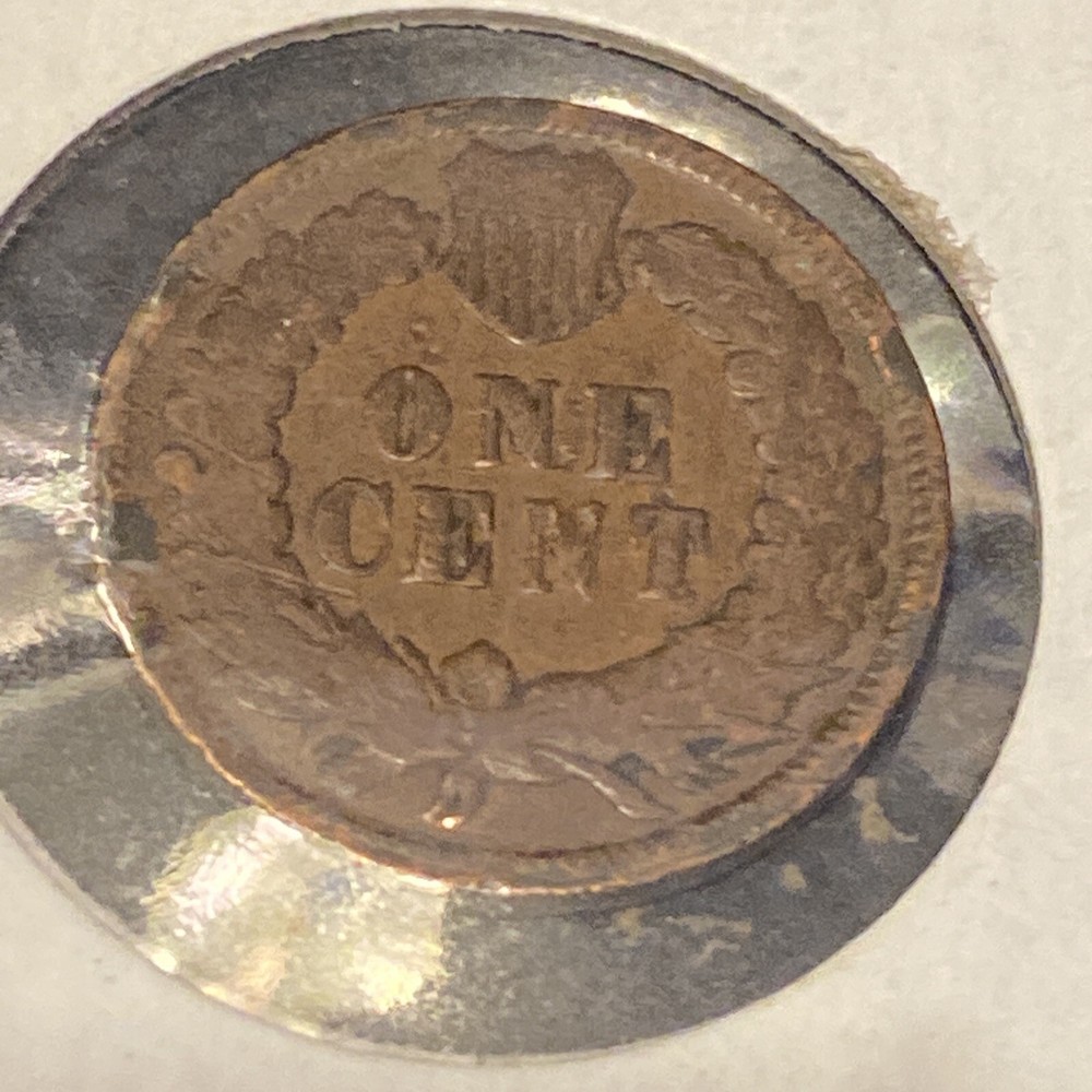 1901 indian head cent• #230207