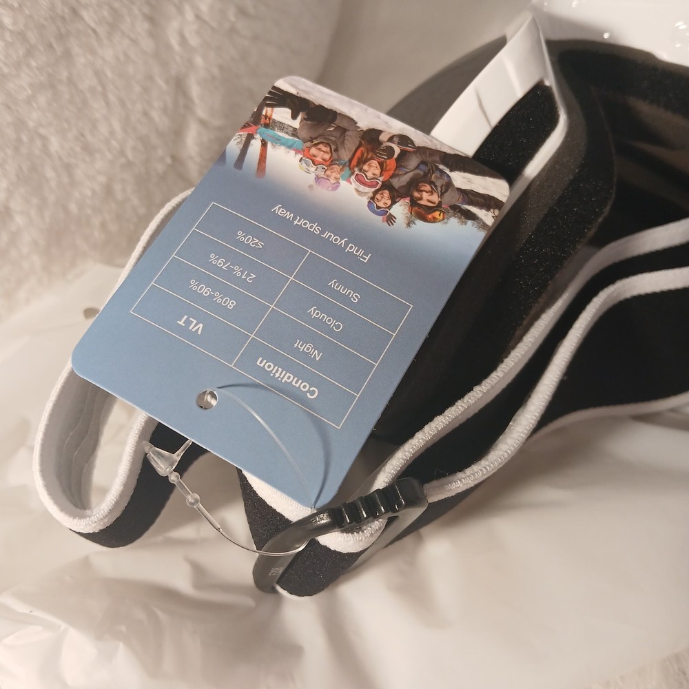 Ski Goggles