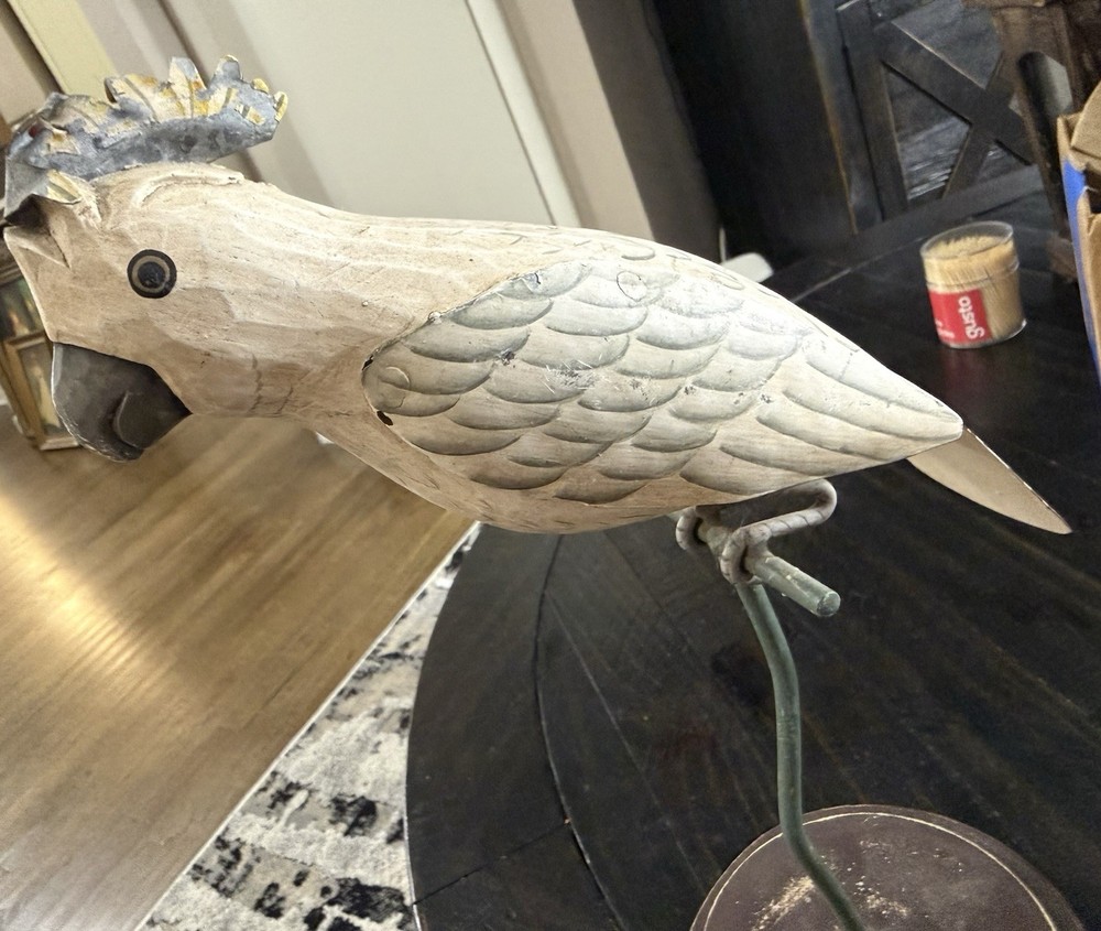 Palecek Parrot