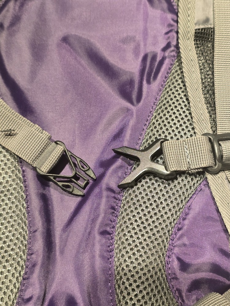 BCG Purple / Gray Hydration Backpack Without Bladder