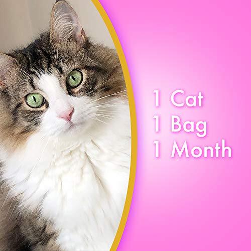 Ultra Micro Crystals Cat Litter 5 pounds Assorted Styles