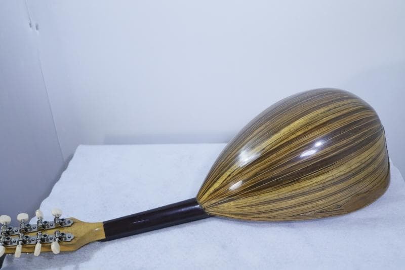 ◆Kunishima Mandolin No.106 ◆With hard case