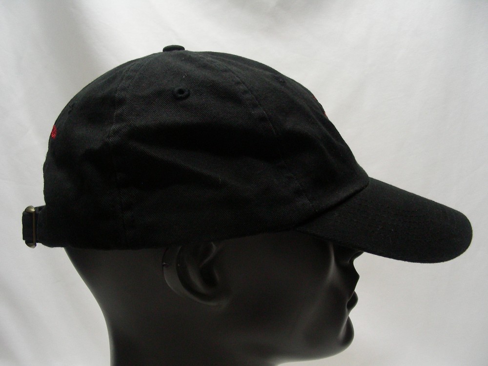 CYCLE OREGON - 2010 - ADJUSTABLE STRAPBACK BALL CAP HAT!