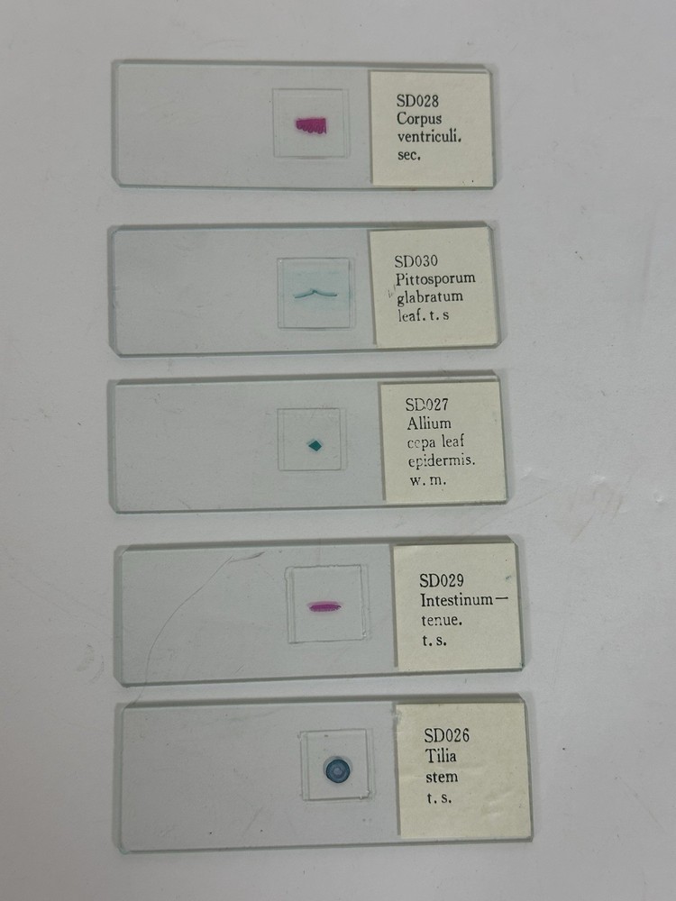 Meade Microscope Slide Set Prepared 5 Slides Biology Science