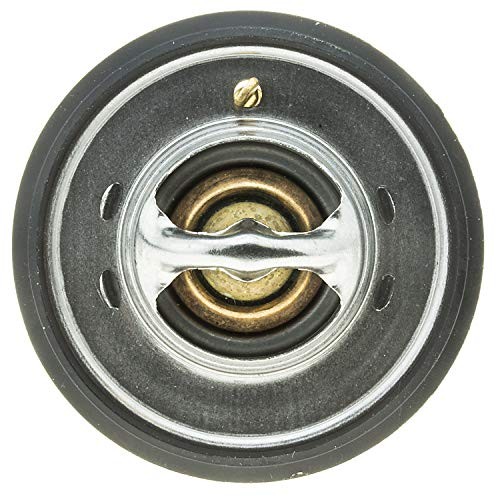 265-195 Thermostat