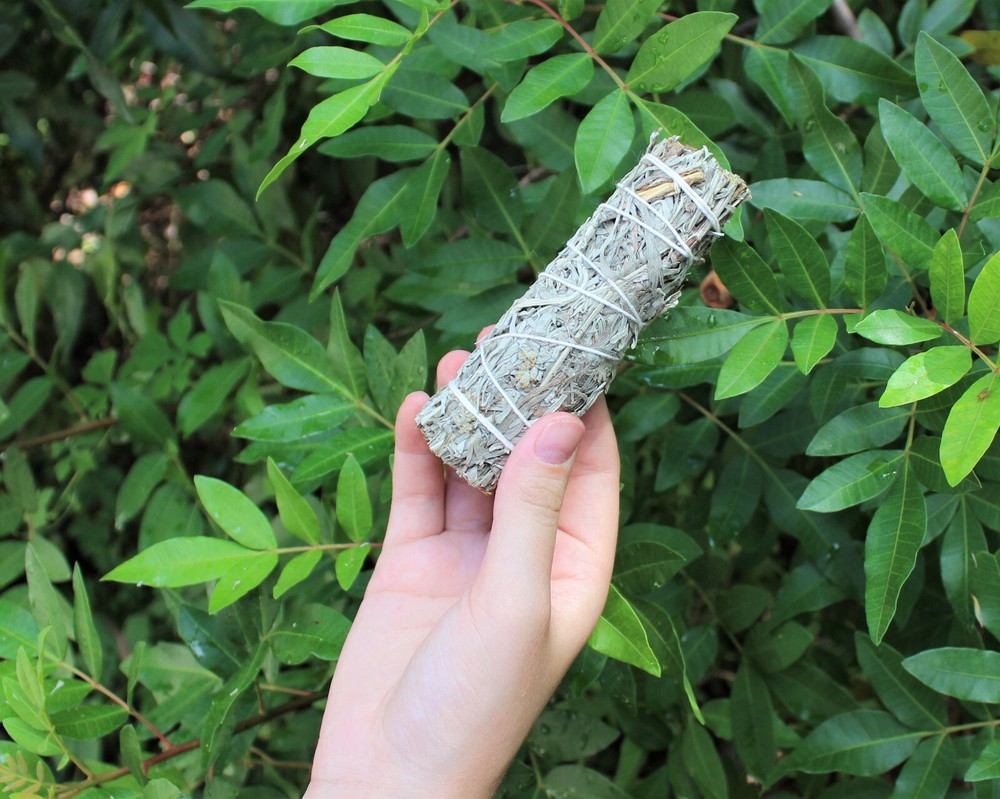 SAGE SMUDGE STICKS: BLUE, CEDAR & YERBA SAMPLER 3 PACK & WHITE FEATHER SMUDGING