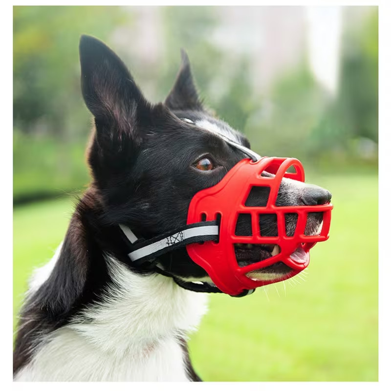 🐶Muzzles | Basket Muzzle to Prevent Biting, Chewing, and Scavenging 🐶