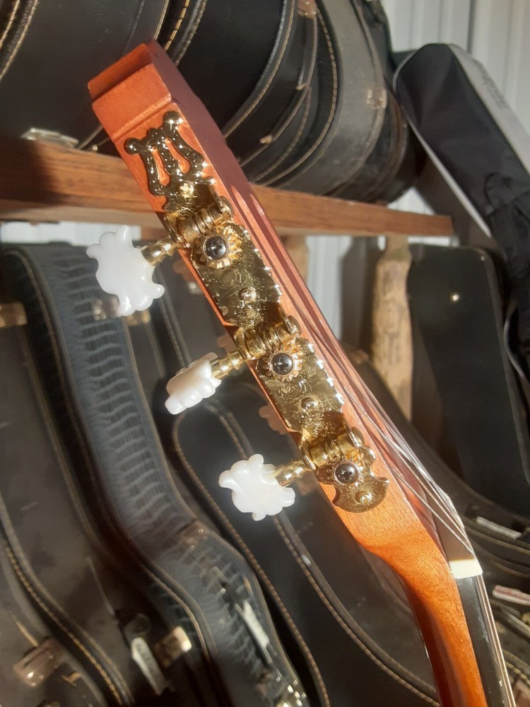 Hohner HC620 Classical Guitar Solid Top 2-Way Truss Rod