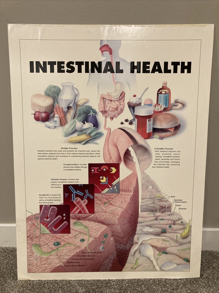 Advanced Nutrition Posters Vintage