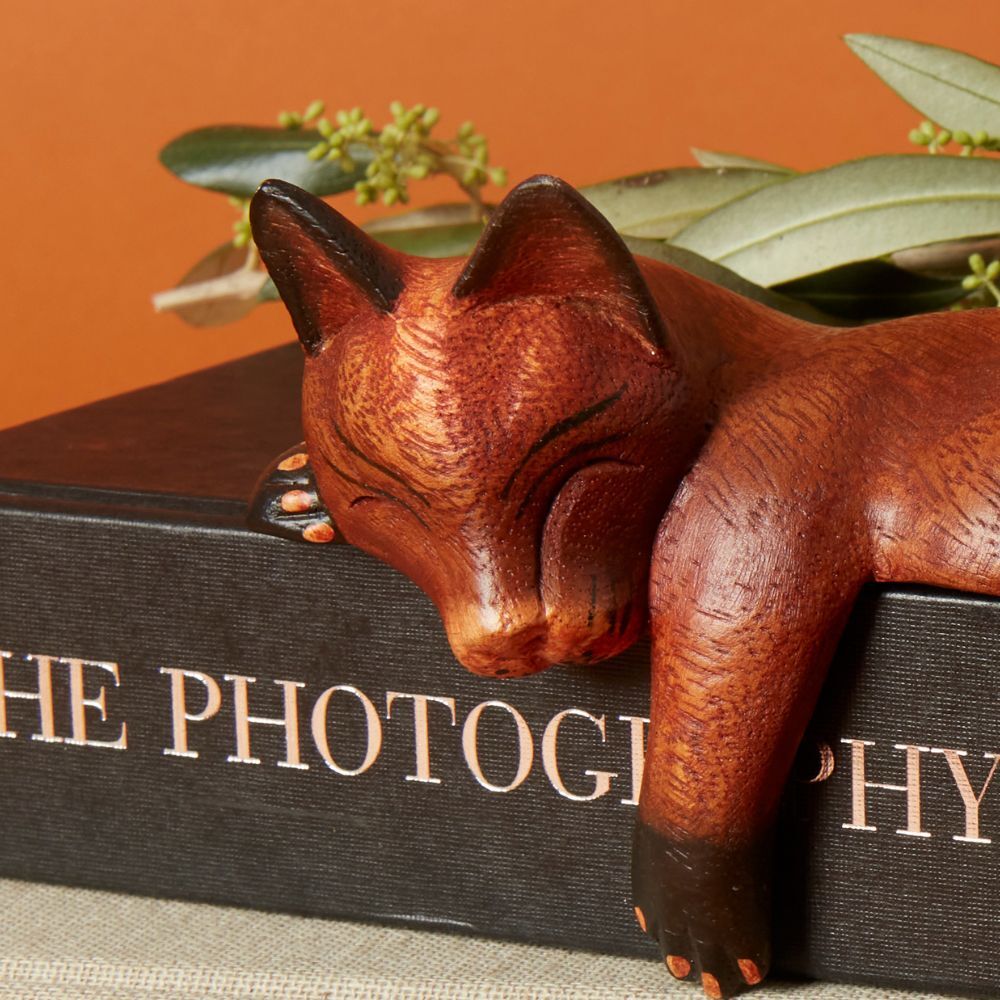 Brown Sleeping Shelf Cat